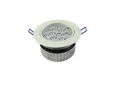 30W LED Ceiling Light